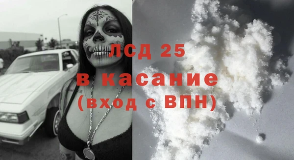 индика Алапаевск