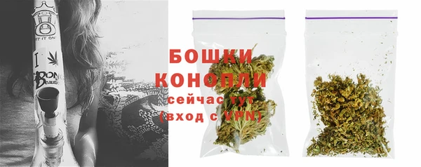 индика Алапаевск